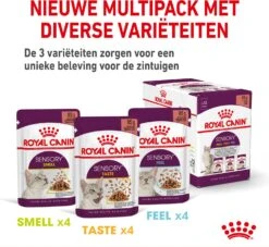 Royal Canin Kattenvoer In Saus Sensory Smell 85 G 12 Stuks -Beeztees || ROYAL CANIN || FLEXI Verkoopwinkel 9003579018507 8
