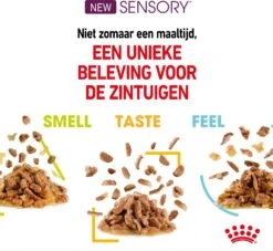 Royal Canin Kattenvoer In Saus Sensory Feel 85 G 12 Stuks -Beeztees || ROYAL CANIN || FLEXI Verkoopwinkel 9003579018934 4