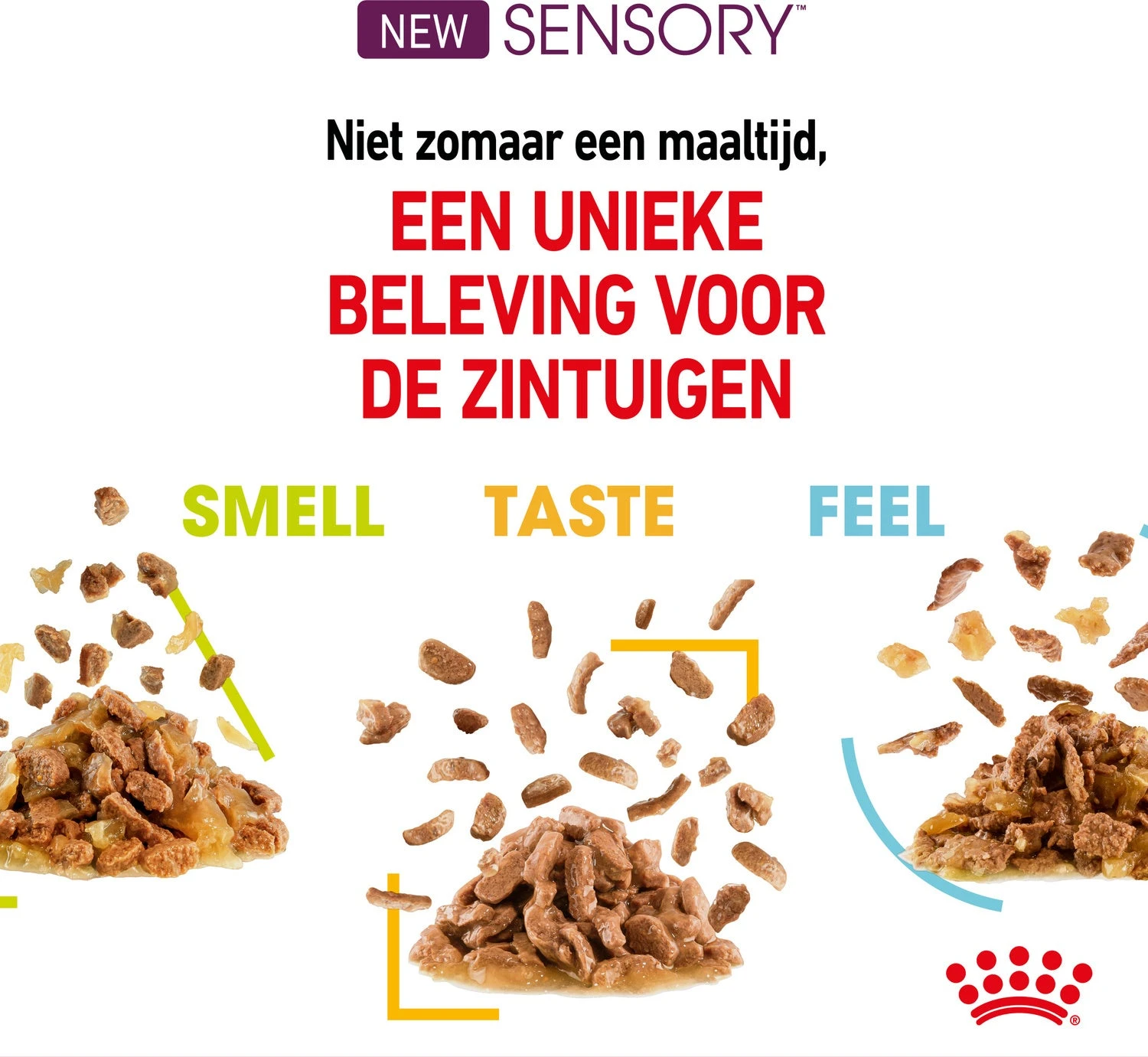 Royal Canin Kattenvoer In Saus Sensory Mix 85 G 12 Stuks 5 Royal Canin Kattenvoer In Saus Sensory Mix 85 G 12 Stuks - Afbeelding 3