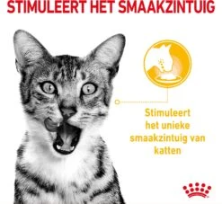 Royal Canin Kattenvoer In Saus Sensory Mix 85 G 12 Stuks 12 Royal Canin Kattenvoer In Saus Sensory Mix 85 G 12 Stuks -Beeztees || ROYAL CANIN || FLEXI Verkoopwinkel 9003579019030 5