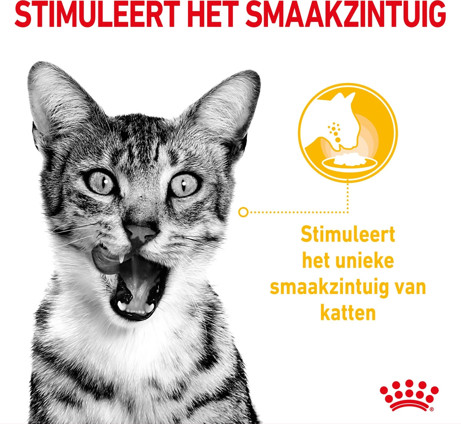 Royal Canin Kattenvoer In Saus Sensory Mix 85 G 12 Stuks 7 Royal Canin Kattenvoer In Saus Sensory Mix 85 G 12 Stuks - Afbeelding 5