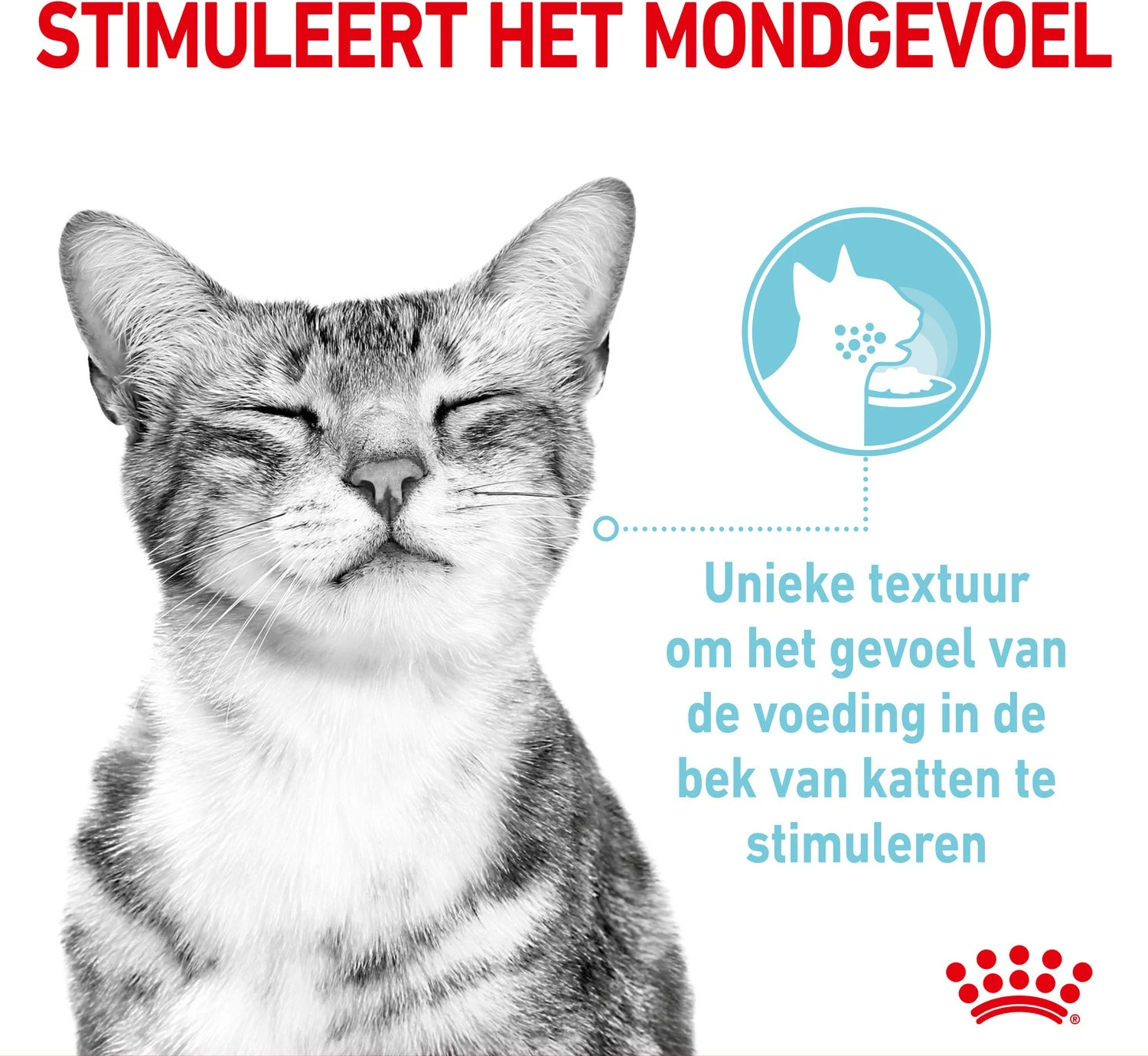 Royal Canin Kattenvoer In Saus Sensory Mix 85 G 12 Stuks 8 Royal Canin Kattenvoer In Saus Sensory Mix 85 G 12 Stuks - Afbeelding 6