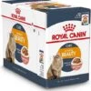 Royal Canin Kattenvoer In Saus Intense Beauty 85 G 12 Stuks -Beeztees || ROYAL CANIN || FLEXI Verkoopwinkel 9003579308721 1