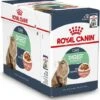 Royal Canin Kattenvoer In Saus Digest Sensitive 85 G 12 Stuks -Beeztees || ROYAL CANIN || FLEXI Verkoopwinkel 9003579309568 1