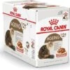 Royal Canin Kattenvoer In Saus Ageing 12+ 85 G 12 Stuks -Beeztees || ROYAL CANIN || FLEXI Verkoopwinkel 9003579310175