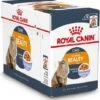Royal Canin Kattenvoer In Gelei Intense Beauty 85 G 12 Stuks