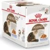 Royal Canin Kattenvoer In Gelei Ageing 12+ 85 G 12 Stuks -Beeztees || ROYAL CANIN || FLEXI Verkoopwinkel 9003579311813 1