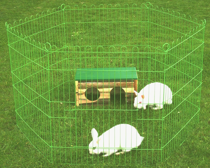 Beeztees || ROYAL CANIN || FLEXI Verkoopwinkel 16 Beeztees || ROYAL CANIN || FLEXI Verkoopwinkel -Beeztees || ROYAL CANIN || FLEXI Verkoopwinkel 8712901023300 1 1